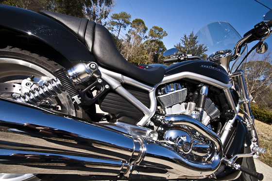 V-Rod V-Rod