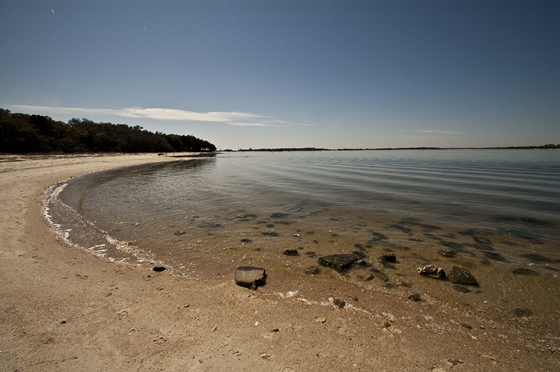 Amelia River Amelia River